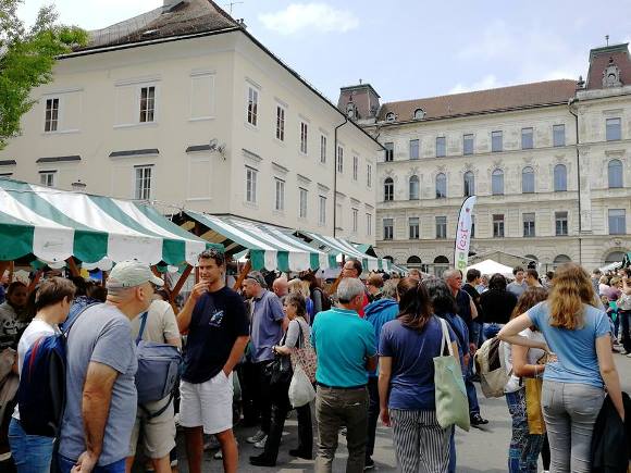 novica_vegafest_2018-5.jpg