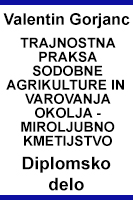 diplomska_gorjanc-1.jpg