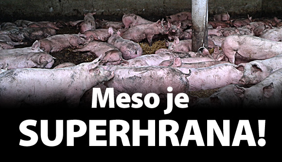 meso-je-superhrana_1.jpg