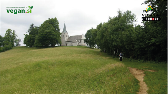 osolnik_570.png