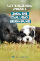 karnizem 133 x 200 matevz.png