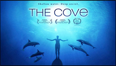 dogodek_cove.jpg