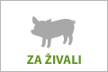 za_zivali.png