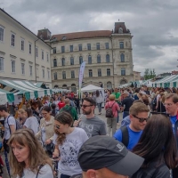 vegafest-05-05-18.jpg