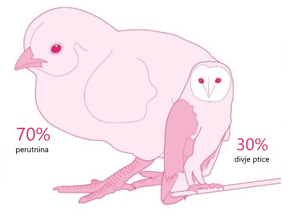 biomasa-2.jpg