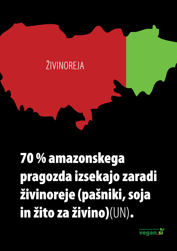 570 SubArt_vpliv prehrane 20233.jpg