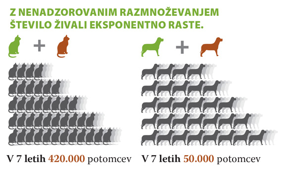 skrbnistvo-1.jpg