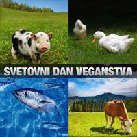 svetovni-dan.jpg