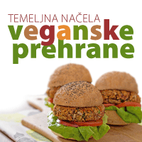 projekti_Temeljna-nacela-veganske-prehrane.png