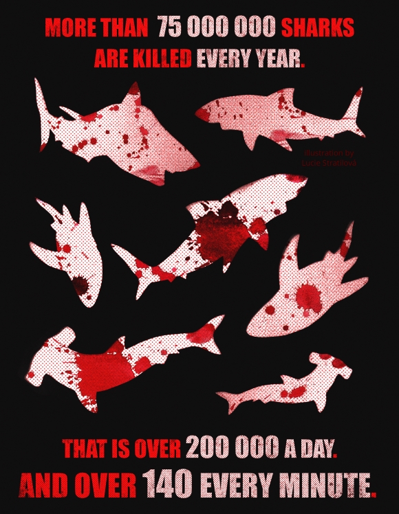 sharks.festival.posterENG_Lucie Stratilová 580x748.jpg