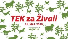 Tek za živali 2019