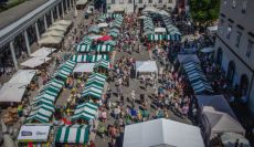 Vegafest 2019 - vsako leto več obiskovalcev!