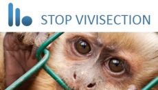 Stop Vivisection