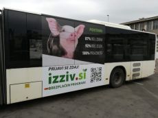 Januar 2023: Veganski izziv opravlja preko 1500 oseb!
