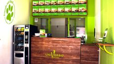 Uspeh veganske hitre prehrane v Italiji