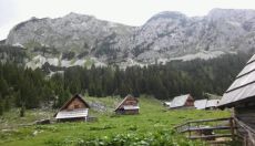 Veganski aktivni vikend na Planini v Lazu