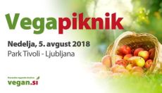 VegaPiknik