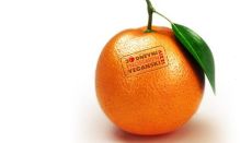 Začel se je Enostaven veganski izziv