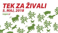 Tek za živali