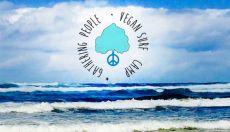 Vegan Surf Camp