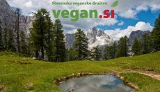 14. Veganski Pohod za Vsakogar - Slemenova špica