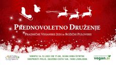 Vegan Hangouts: Prednovoletno druženje v božičnih puloverjih [16. 12. 2023]
